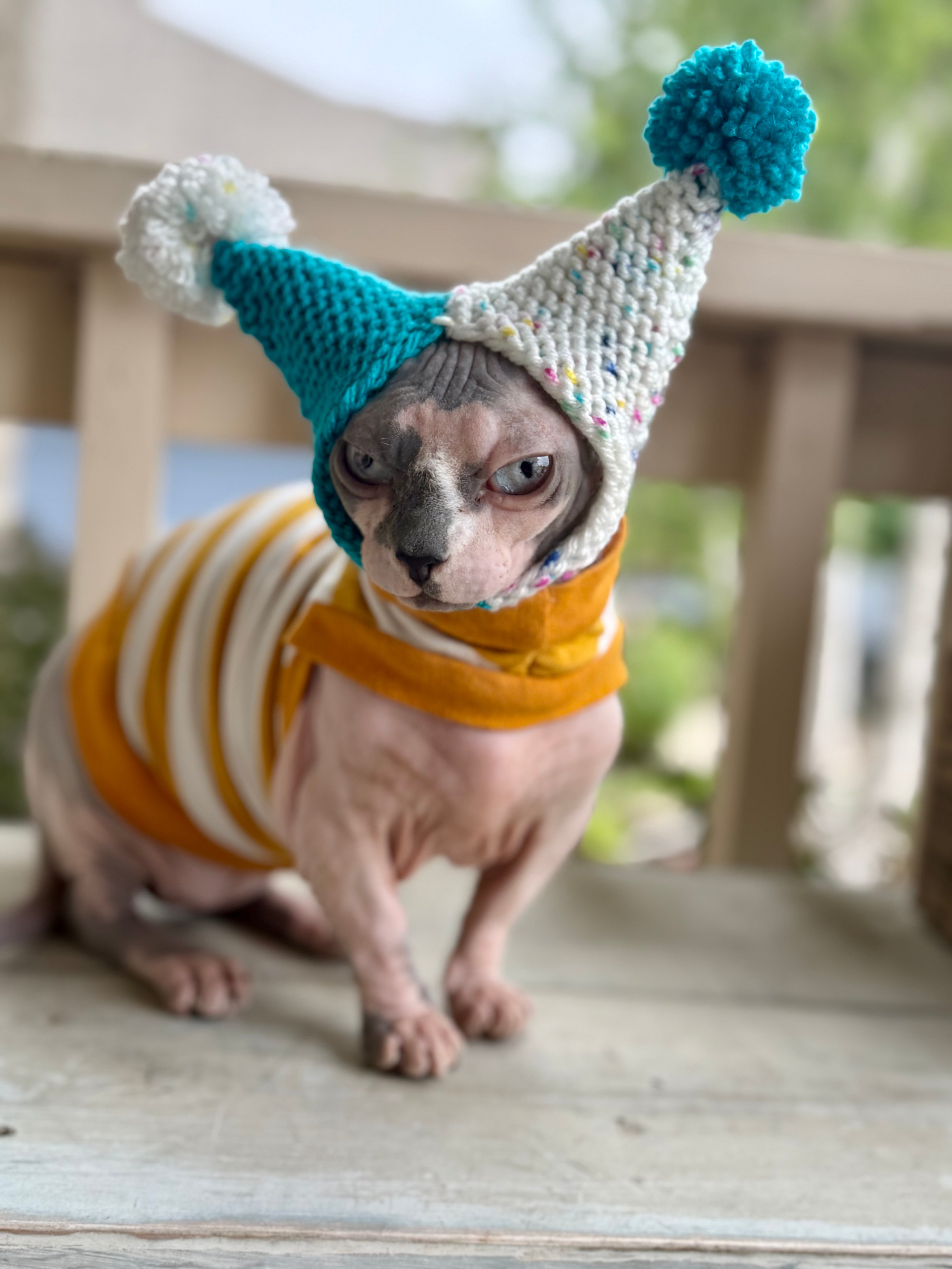 Fruit Salad Double Pom Knit Cat Hat