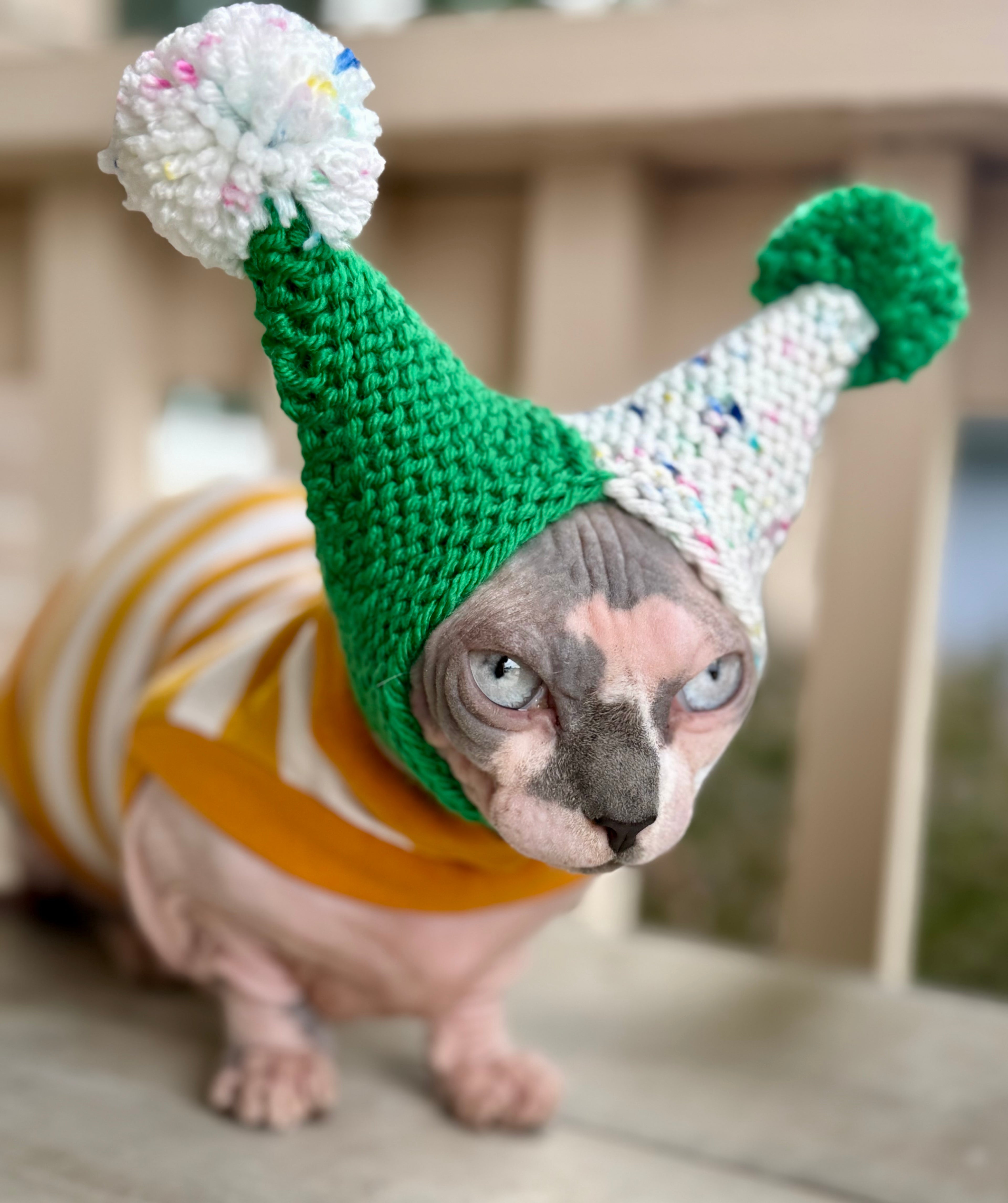 Fruit Salad Double Pom Knit Cat Hat