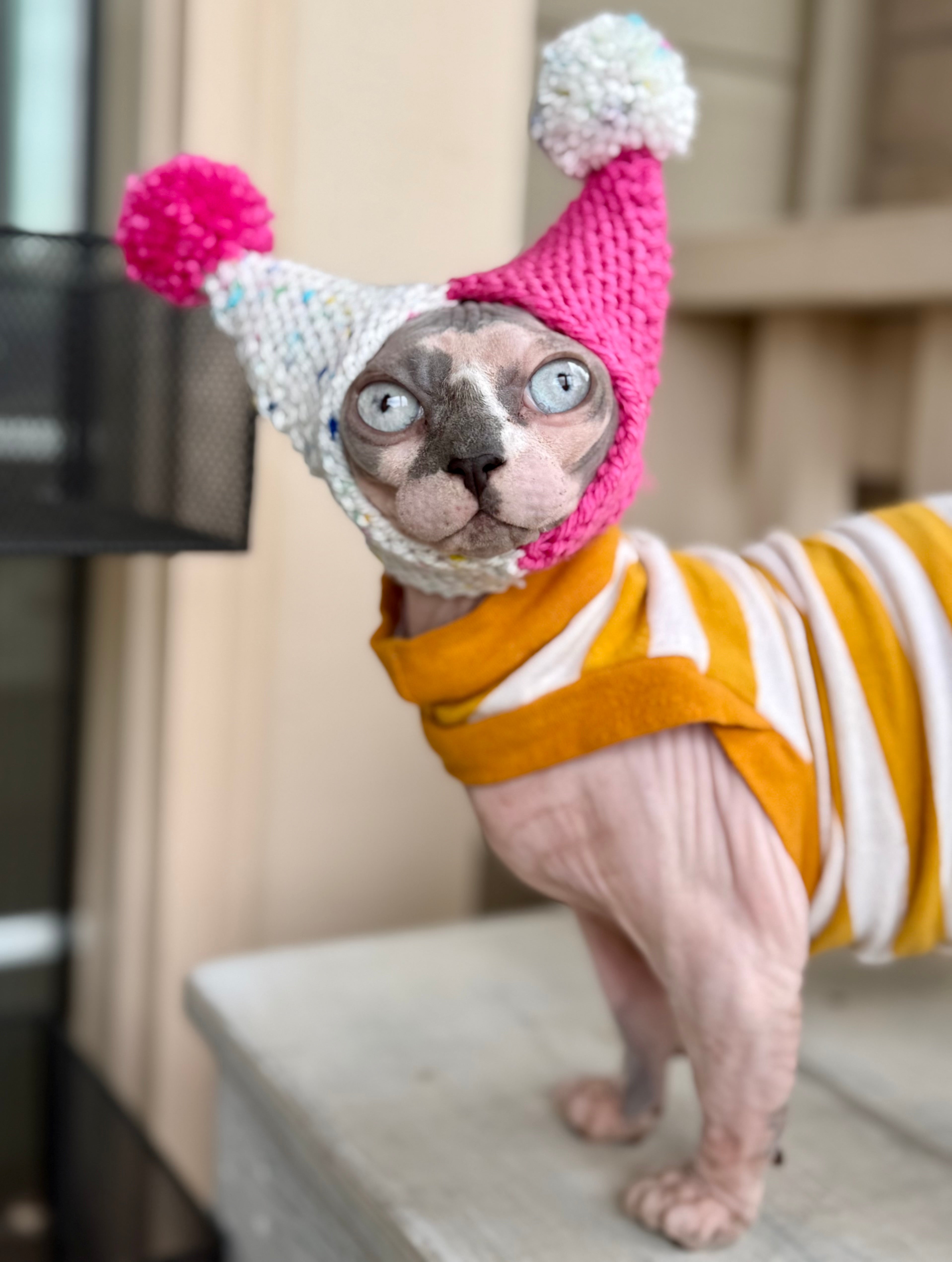 Fruit Salad Double Pom Knit Cat Hat