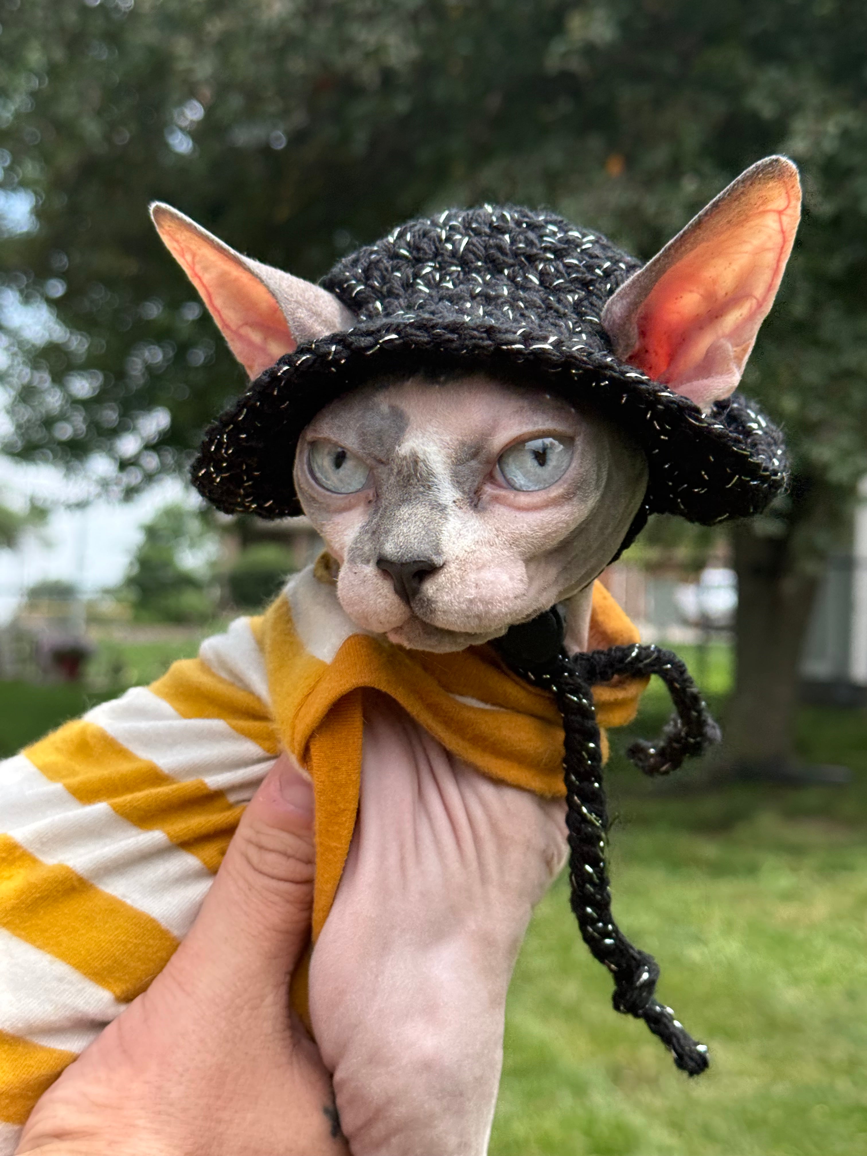 Sparkle Wander Cat Hat