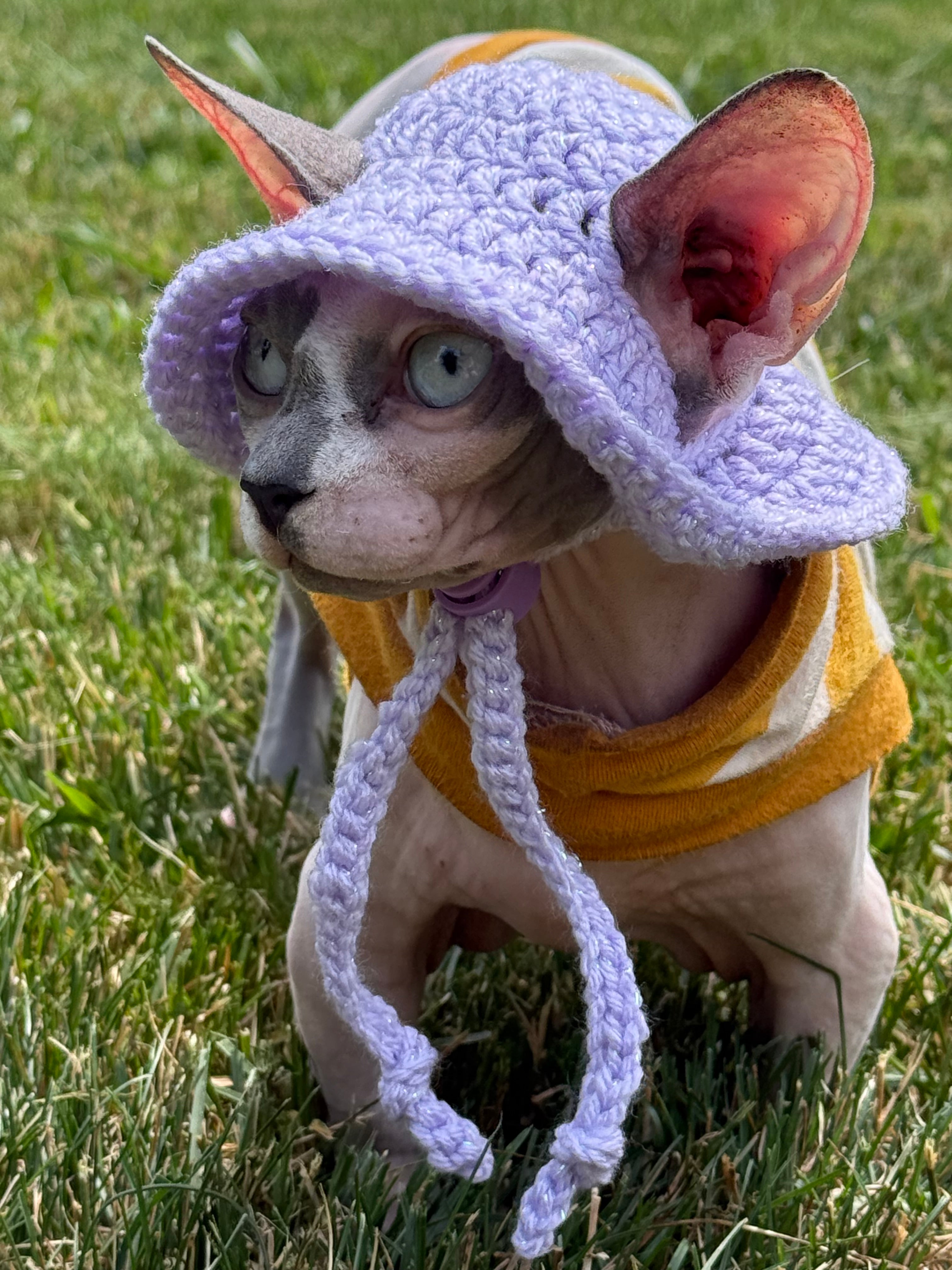 Sparkle Wander Cat Hat