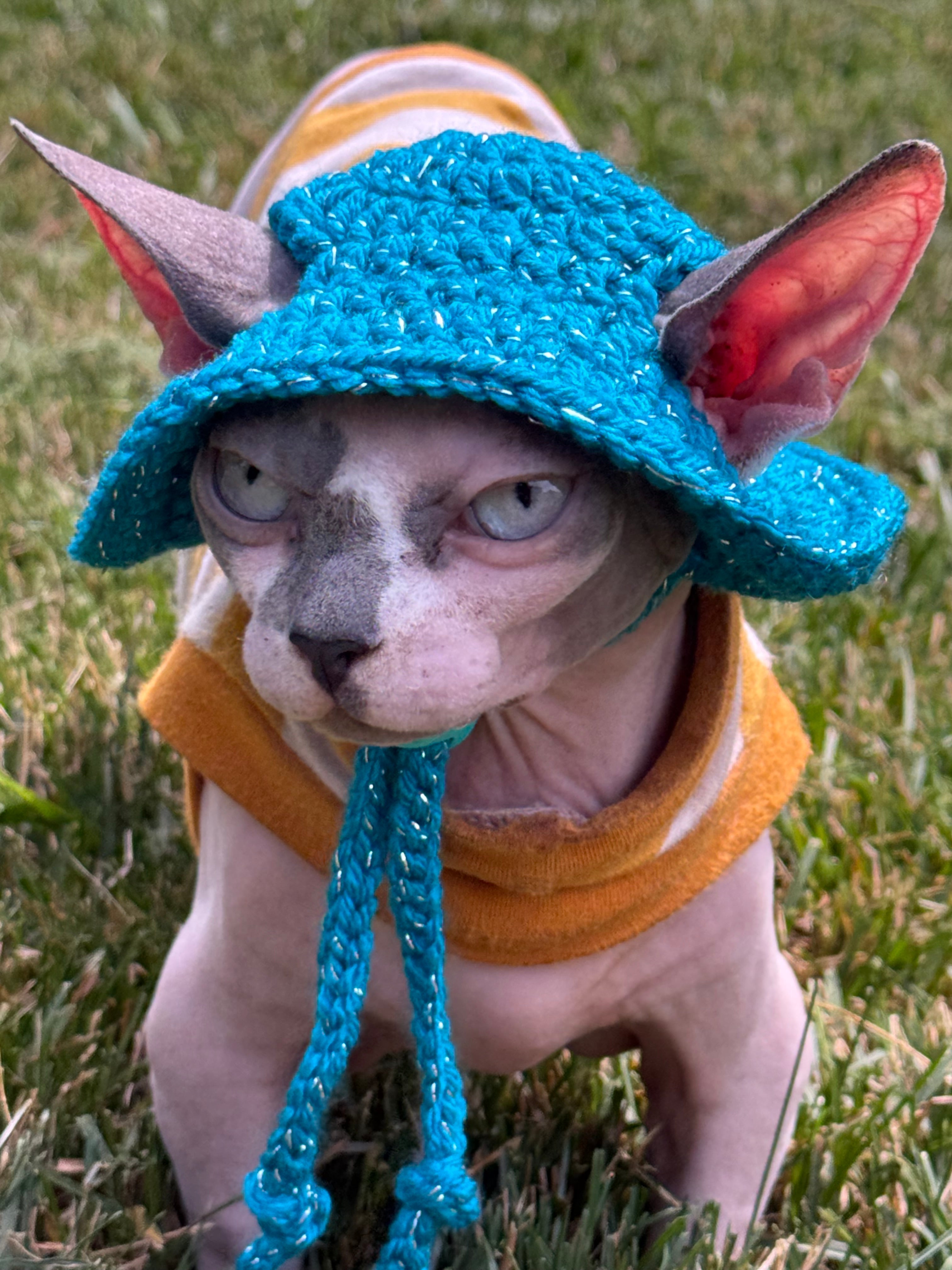Sparkle Wander Cat Hat