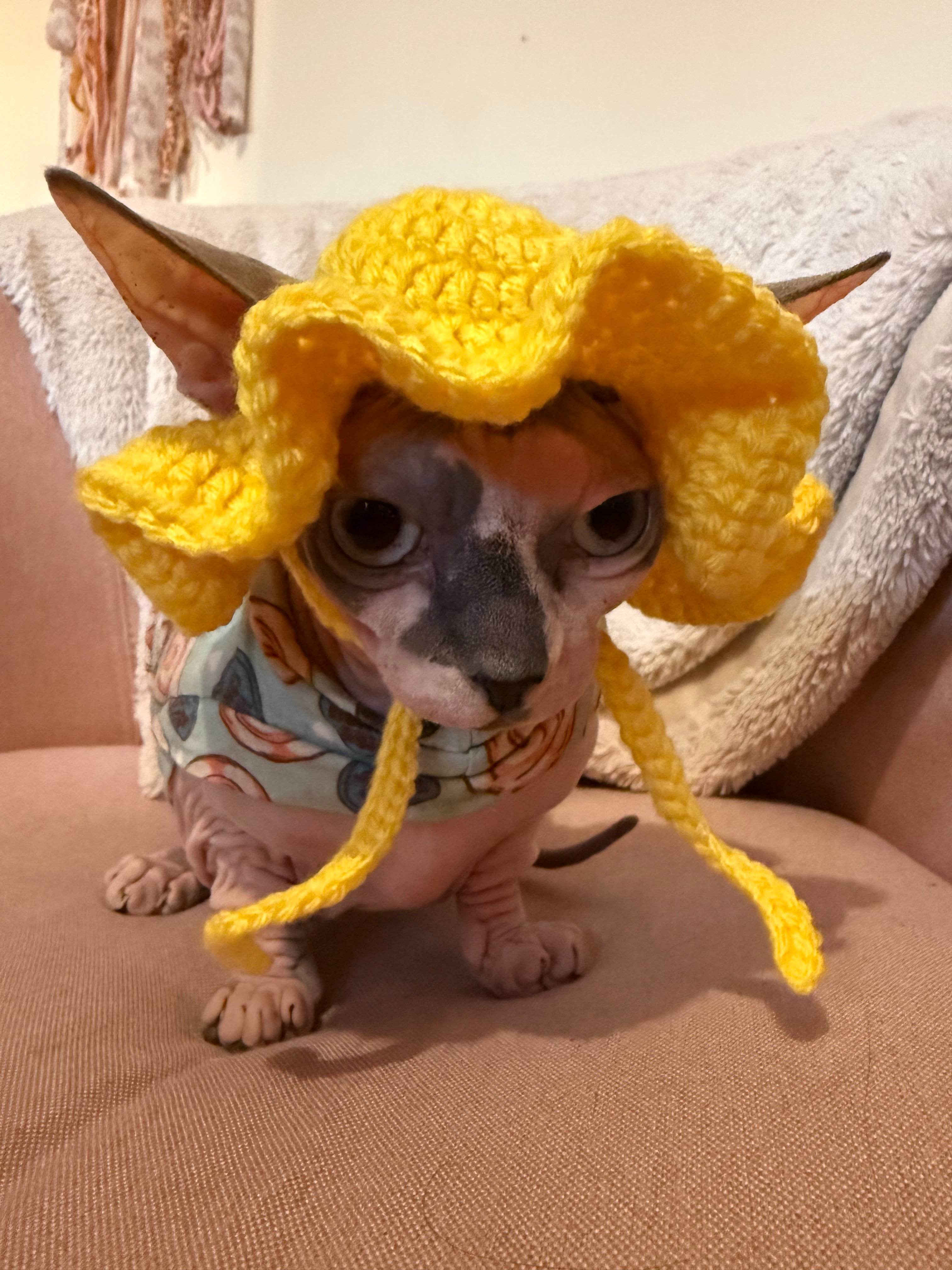 Ruffle Sun Hat- Yellow