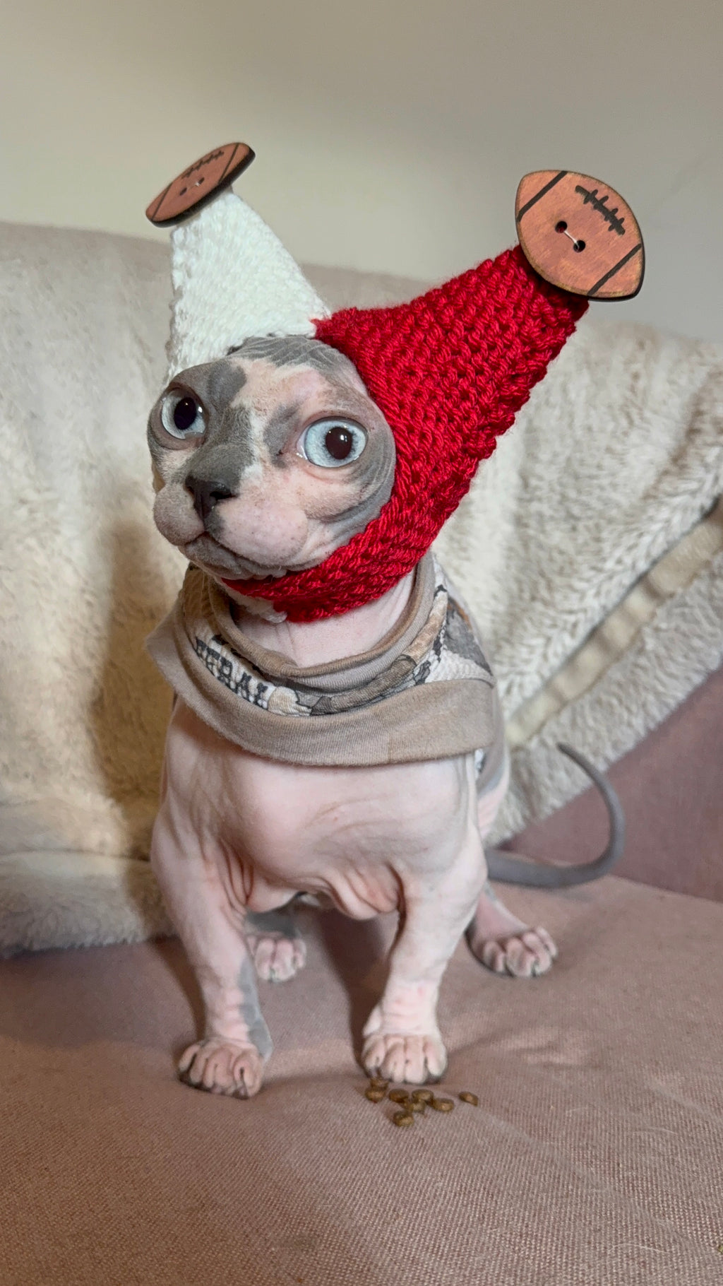 Football Gameday Purr-amid Hat