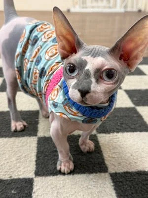 Soft Crocheted Cat Harness
