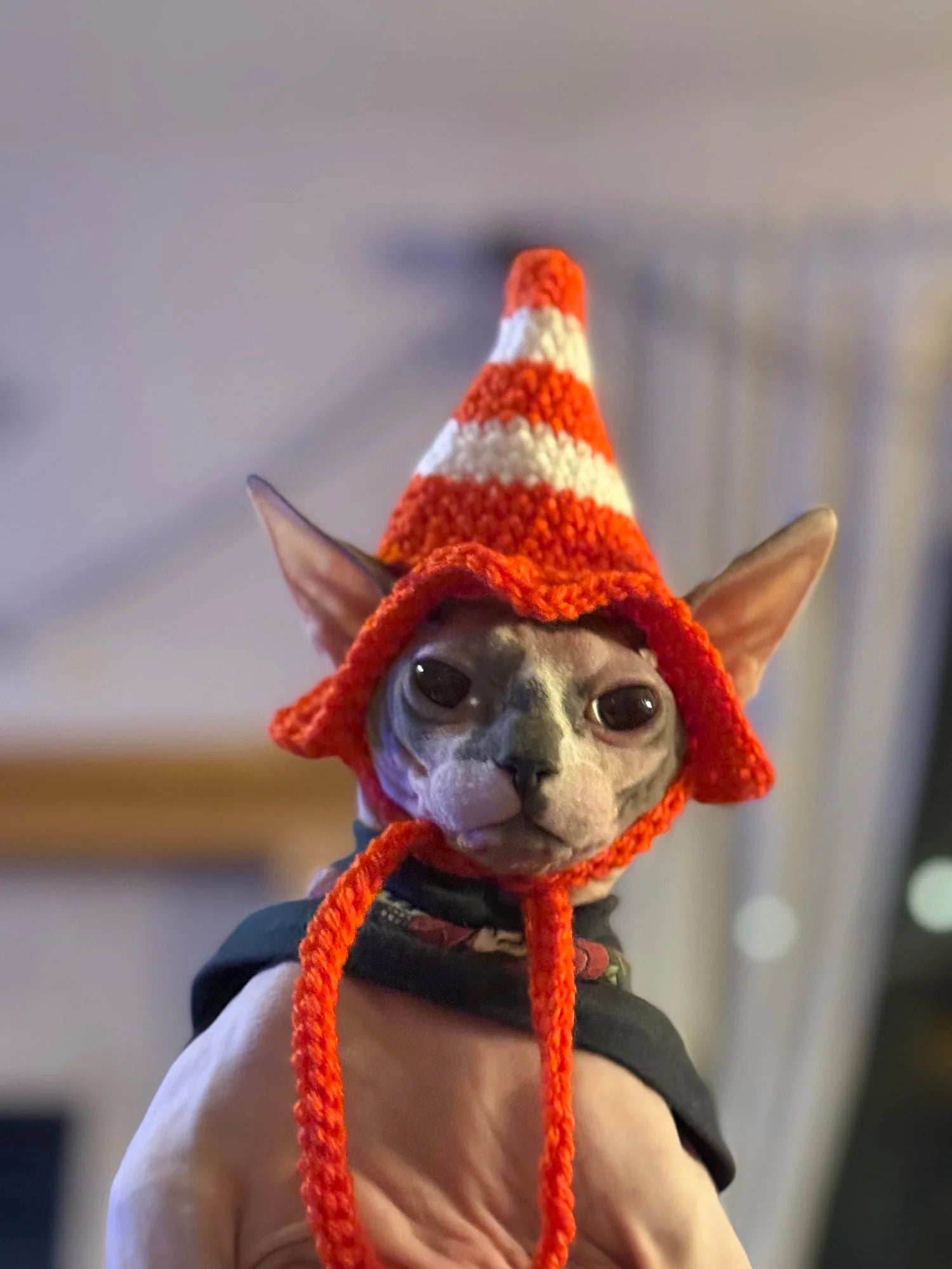 Safety Cone Cat Hat