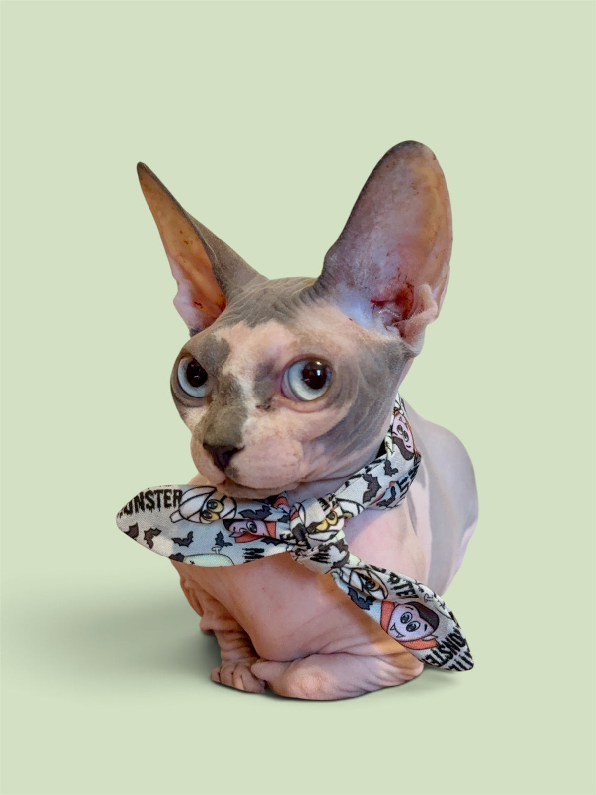 Little Monster Bandit