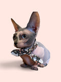 Cat Ghosts Bandit
